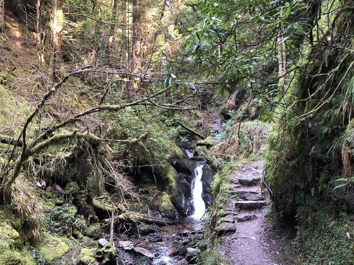 Rashfield Sheilings - Riverside Lodges, By Pucks Glen, Dunoon