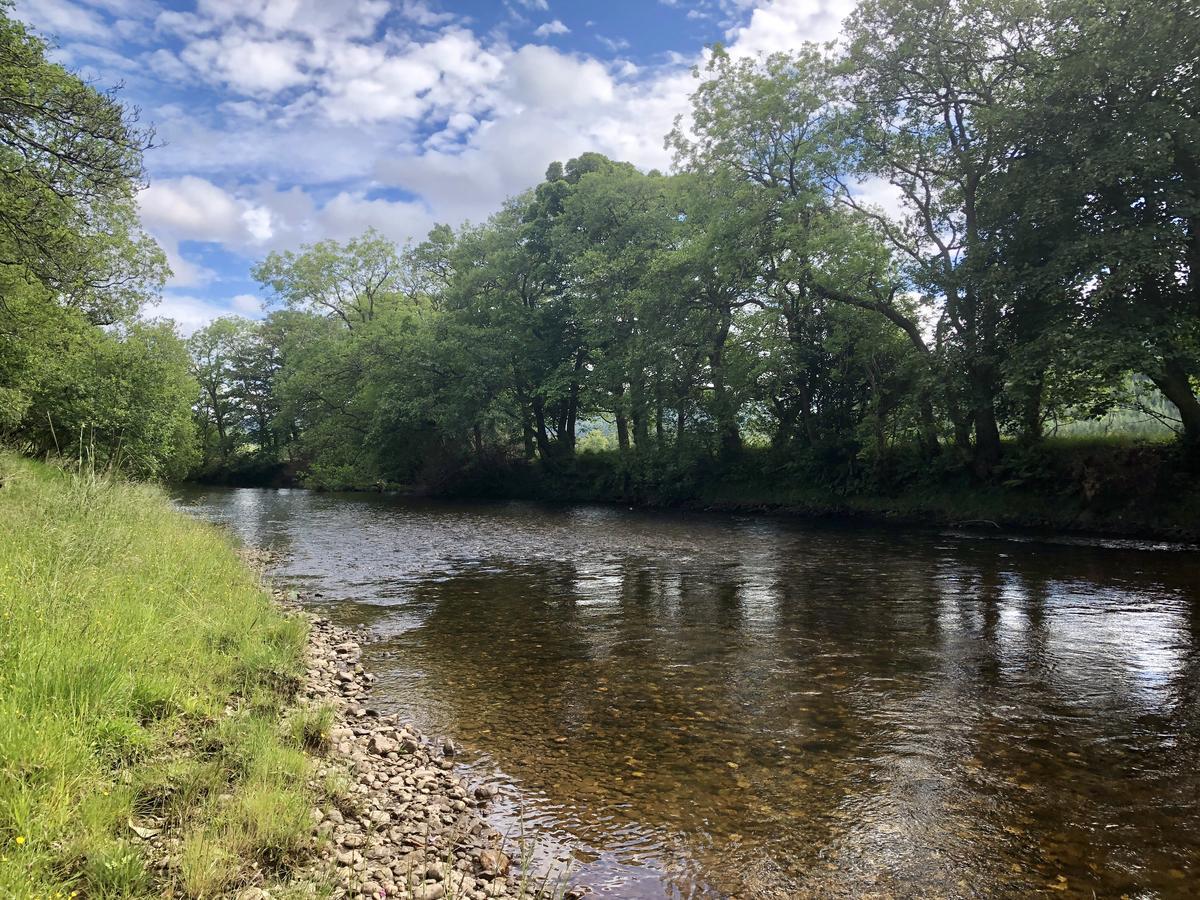 Rashfield Sheilings - Riverside Lodges, By Pucks Glen, * Dunoon